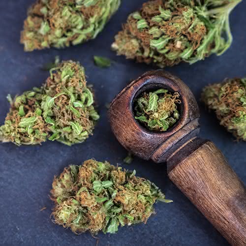 Susz CBD